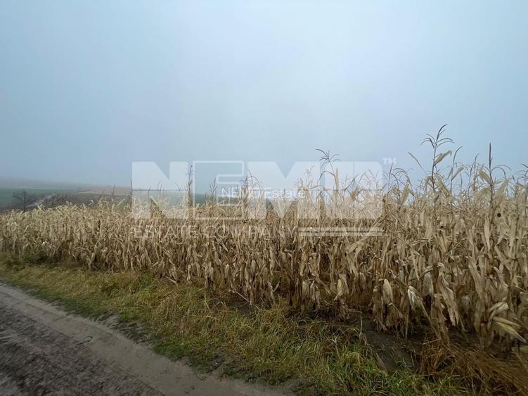 TEREN EXTRAVILAN | DOUA PARCELE 2.84 HA| DARMANESTI - 10