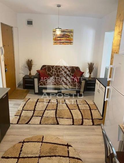 Apartament cu 2 camere de inchiriat zona Lipovei - 4