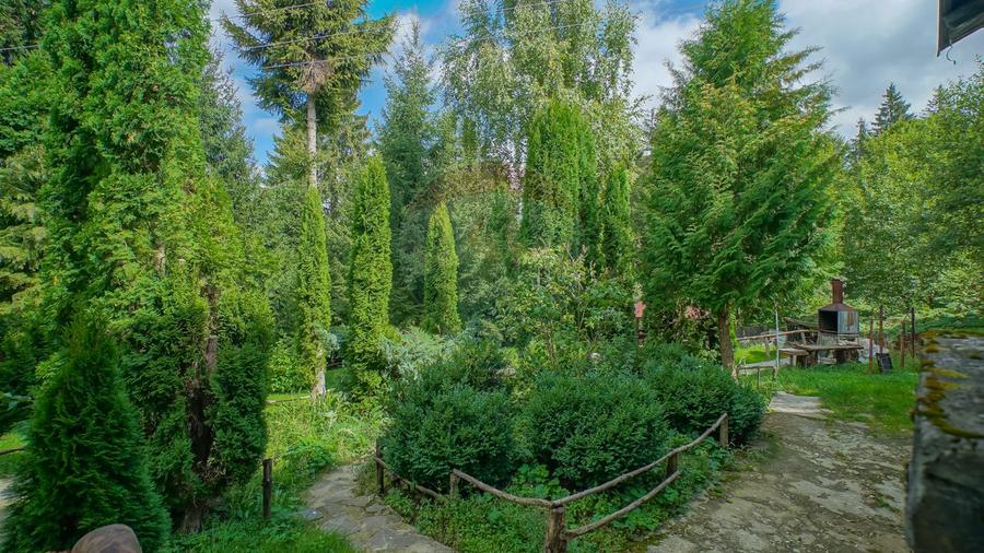 COMPLEX HOTELIER POTENTIAL EXTINDERE | PREDEAL CIOPLEA | 2000 MP TEREN