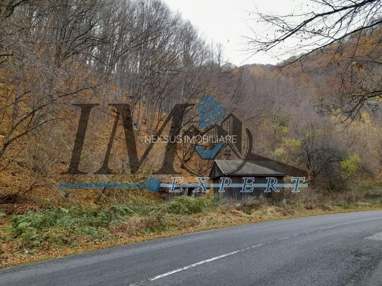Teren extravilan direct la șoseaua TRANSALPINA - 2