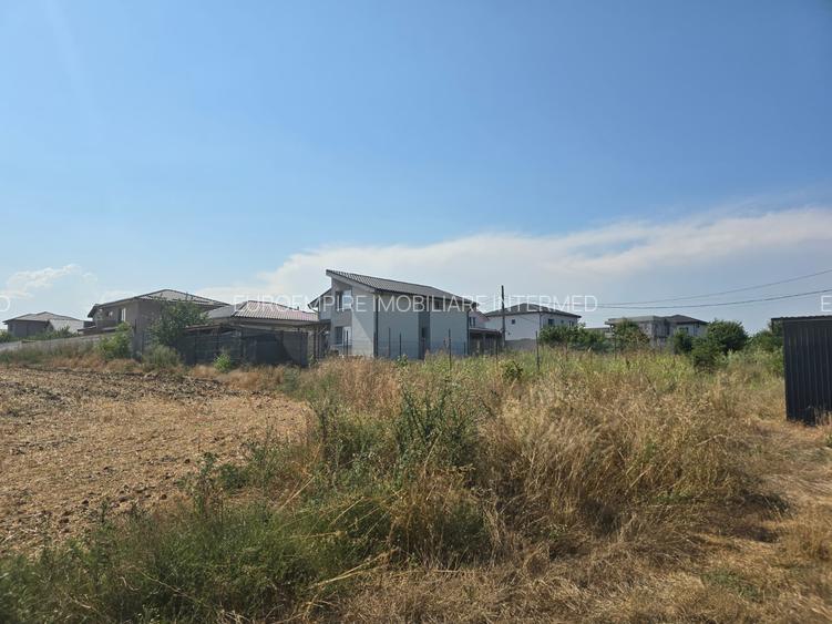 Teren de vanzare in Lazu - 9
