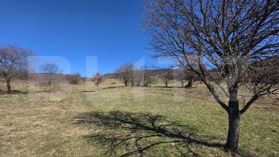 Teren de vanzare de 8,567MP in zona: Tarpiului