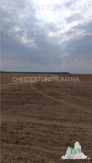 Oferim spre vanzare 6 loturi de teren extravilan (agricol) in Petrachioaia ILFOV - 4