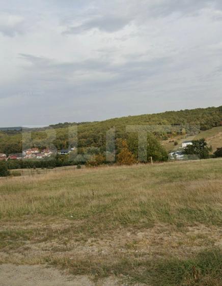 Teren intravilan de vanzare, 15 ari, Zalau