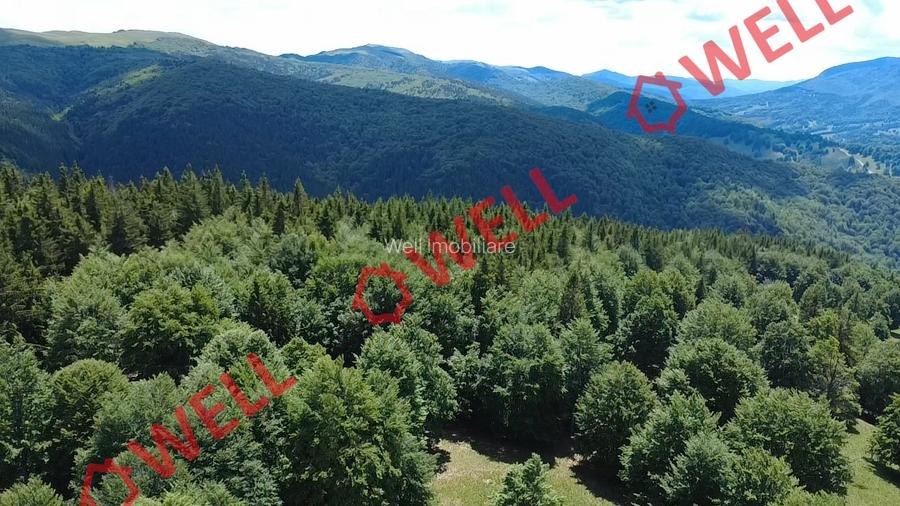 Pădure de vânzare în Vama Buzăului, sat Buzăiel!