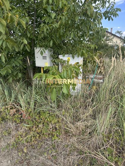 TEREN INTRAVILAN 480 MP I APA, GAZ, CURENT I DESCHIDERE LA STRADA 25 ML - 2
