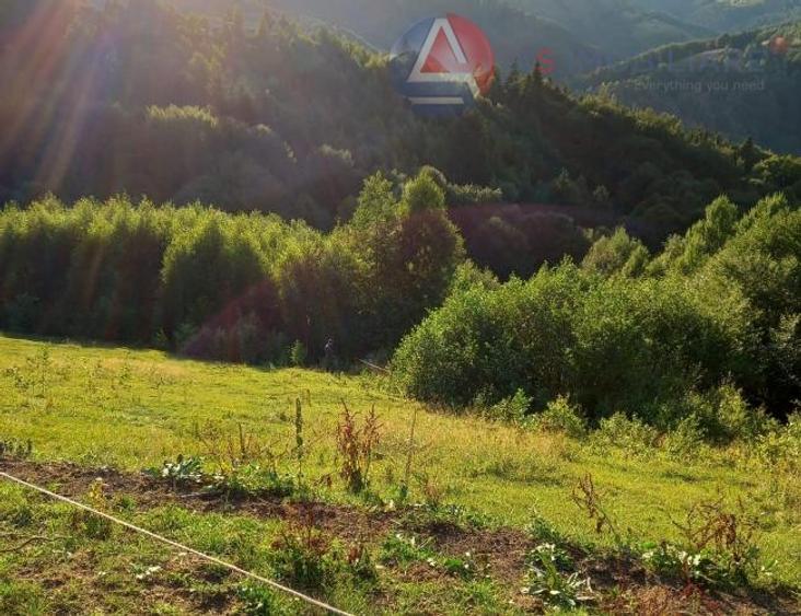 Oportunitate! Teren 10.669 mp în Moieciu de Jos –Natură Pură, Potential Turistic