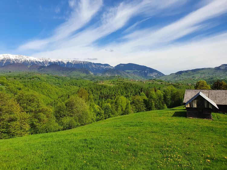 Teren Drumul Carului 3.8 ha