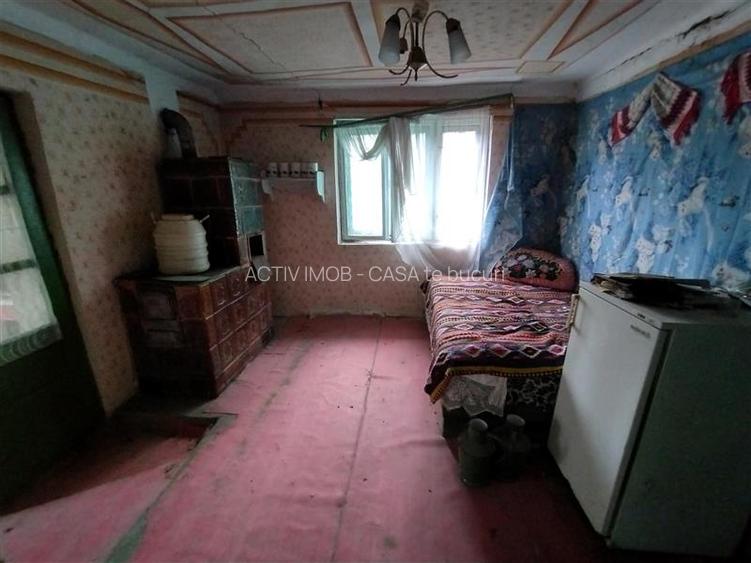 Bogodint, Casa cu 4 Hectare Teren, Pret Negociabil - 24