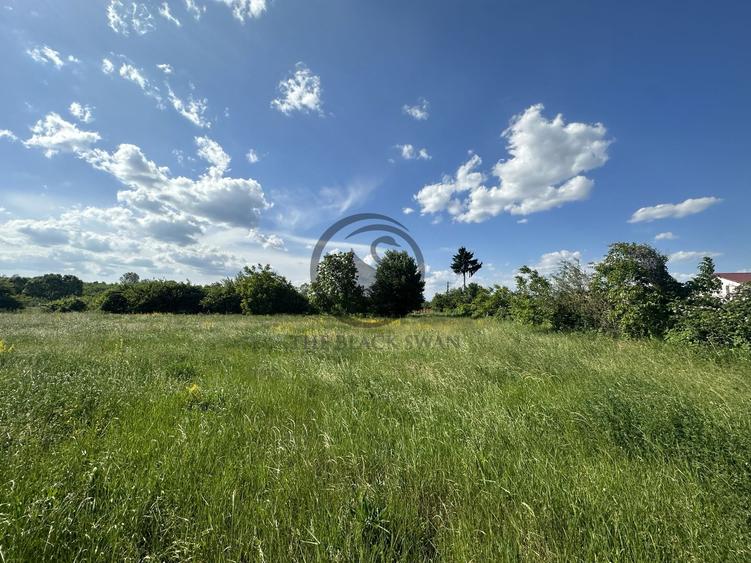 Teren intravilan de vanzare | 11.000 mp | Ghirdoveni | Comision 0%