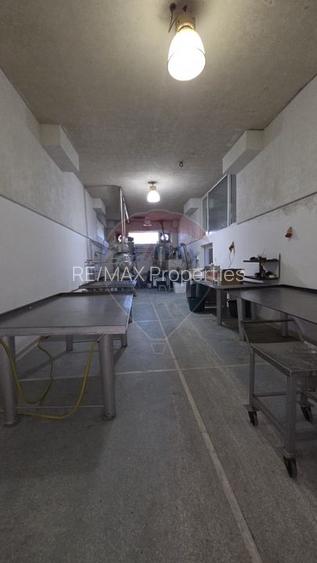 Complex multifunctional-Business & Logistic Campus-Spațiu industrial - 25