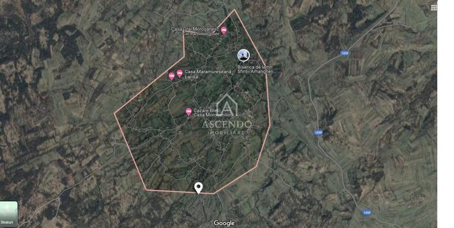 Teren 1,93 ha în Breb, Maramureș – zonă pitorească, Tăul Sărat