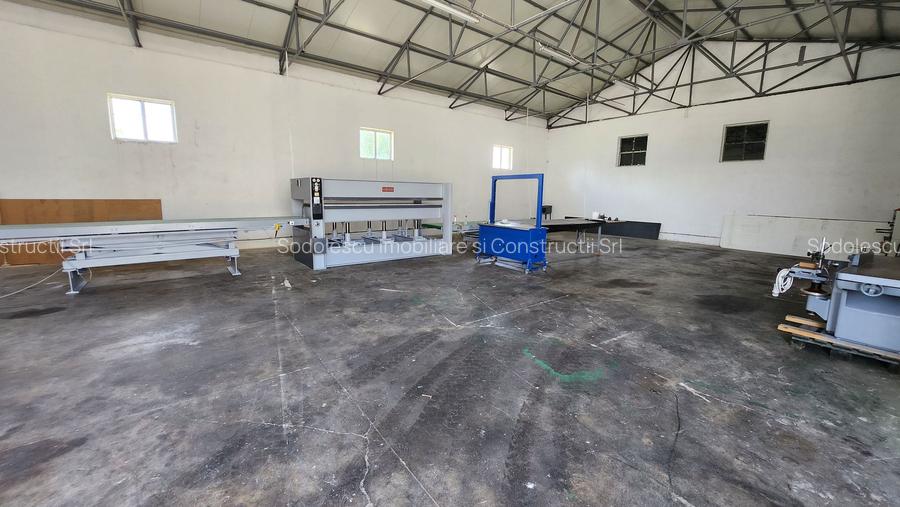 Spatiu industrial productie/ depozitare, Timiș - 16