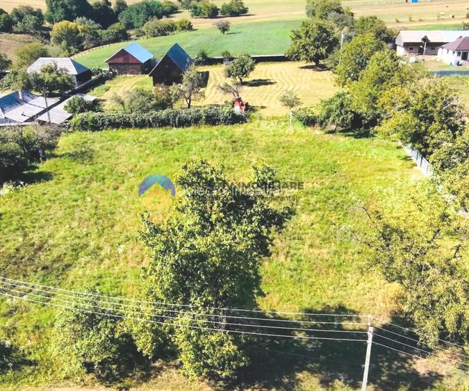TEREN intravilan 3260 mp  ROZNOV – CHINTINICI - 3