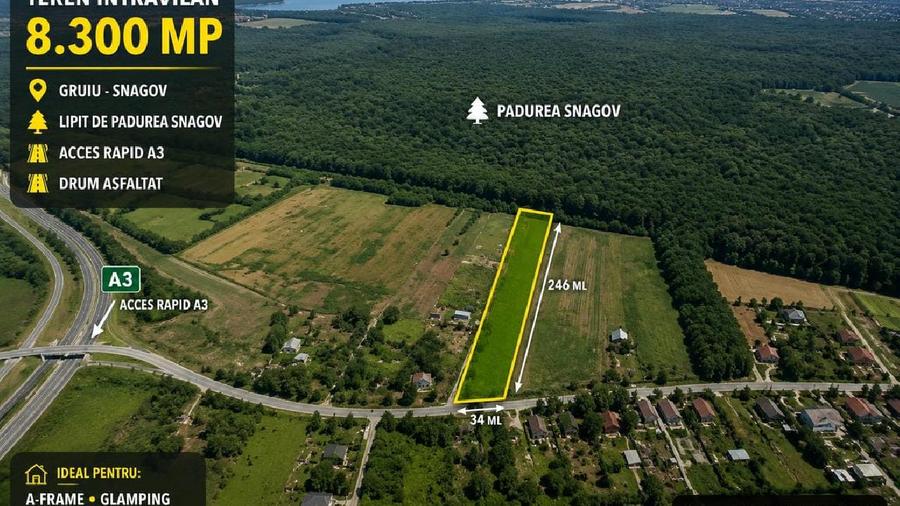 OCAZIE - Teren Intravilan - 8300 mp, Gruiu - Padurea Snagov