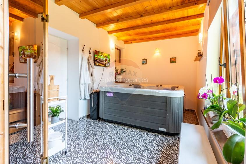 Vilă Excepțională în Tunari - 23