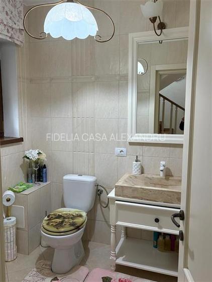 Vila  de vanzare  Bucium,369mp utili,1500mp teren,curte amenajata - 25