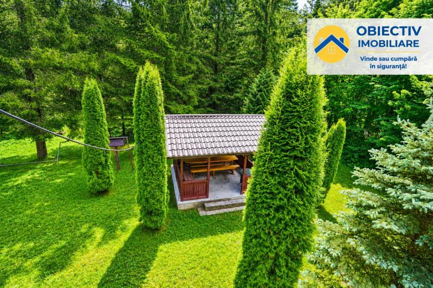 Cabană de Vânzare în Tarcău – Natură, Relaxare și Pescuit la Poartă! - 9