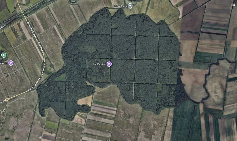 Teren zona Mosnita Padurea Bistra