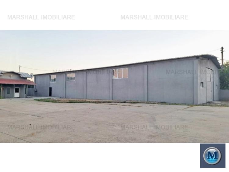 Spatiu industrial de inchiriat, zona Exterior Sud, 468 mp #16662