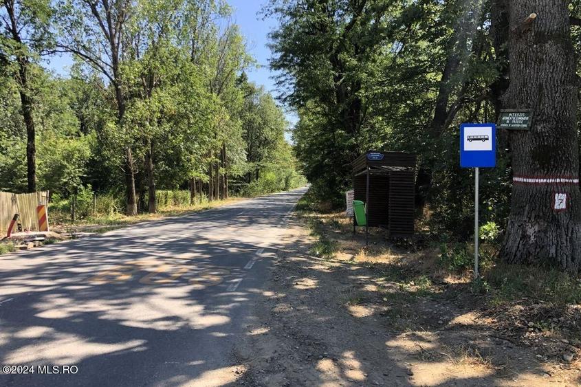 Moara Vlasiei - langa Padurea Biglaru, 11.884 mp, deschidere 40 ml