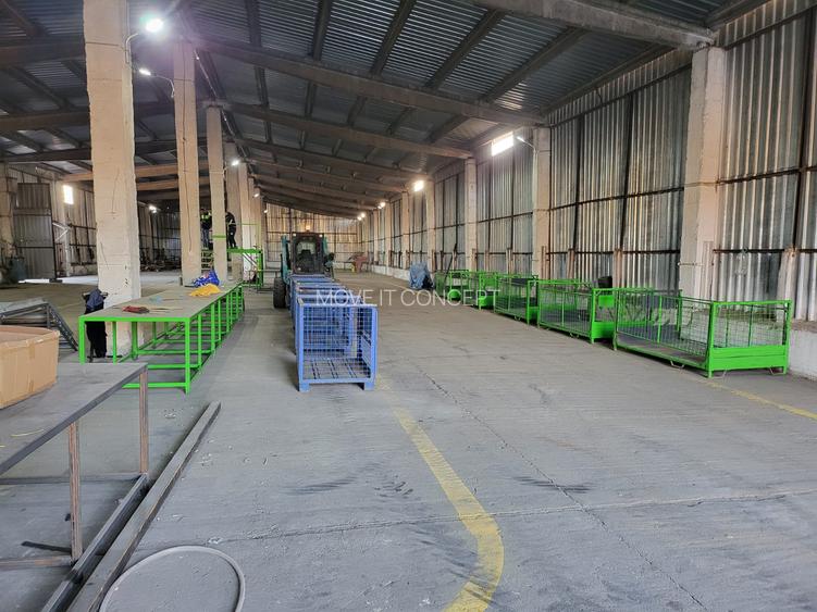 Spatiu industrial -  depozitare hale Baza Receptie Ghimpati Giurgiu - 15