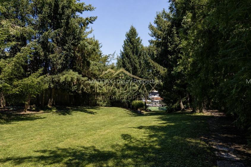 Vila Exclusivista cu 5 camere *3000mp curte si deschidere la lac* // Snagov - 23