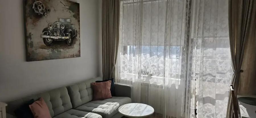 Studio Iancu Nicolae, Ambasada Americii, Gradina Zoologica | Elegant