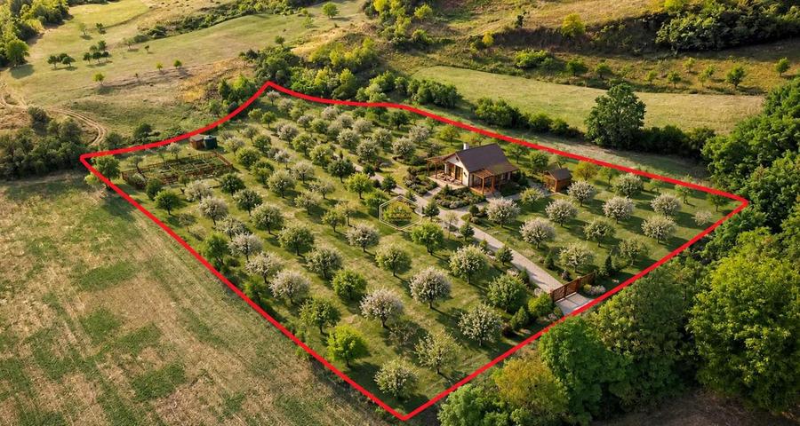 VIDEO | Super view | Teren 8.500 m² in Maramures | Viitorul tau colt de liniste