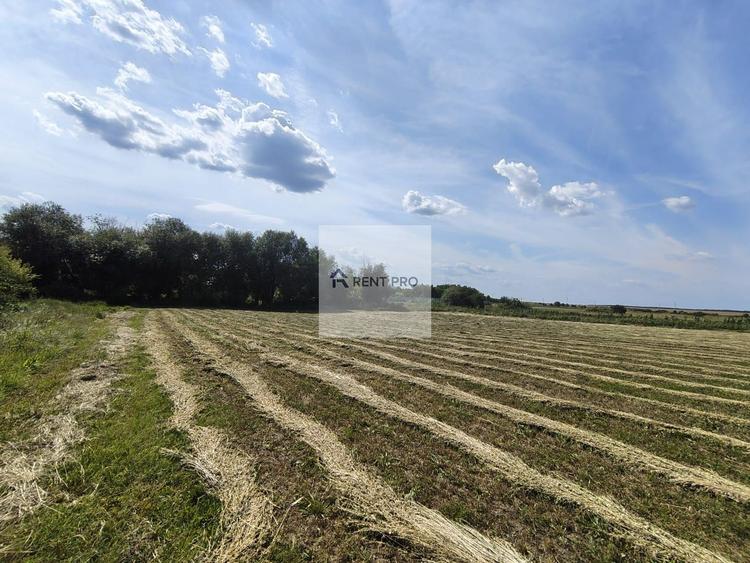 Teren de 11.000 mp cu casă și teren agricol | La 40 km de București |