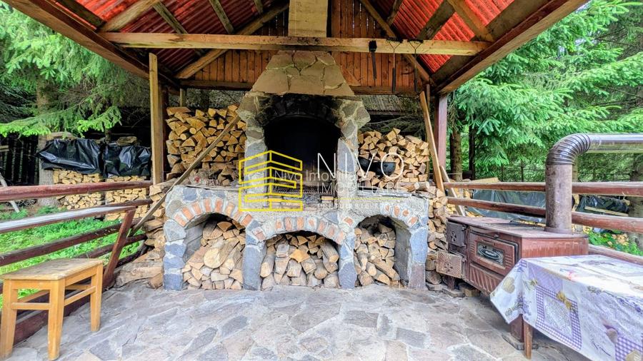 Cabană – Mureș – Sălard – Zona Pensiunea Denisa - 7