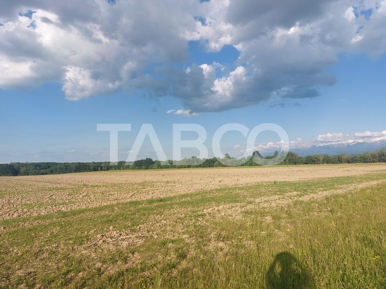Teren extravilan 16500 mp front 47 m acces auto zona aerodrom Cisnadie