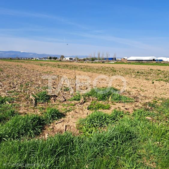 Oportunitate INVESTITIE Teren de vanzare 4166 mp ACCES FACIL SELIMBAR - 3