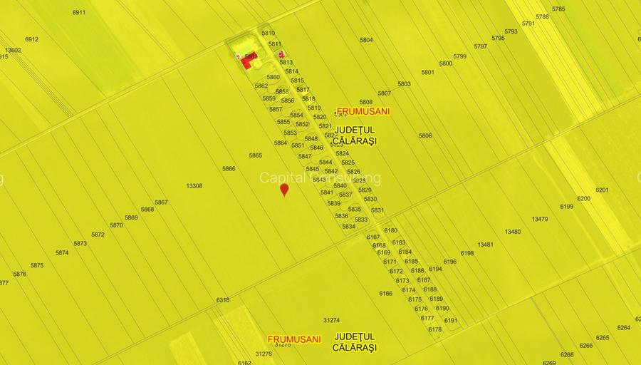 Frumusani-Pasarea '70 loturi cu drum într-o zona in dezvoltare