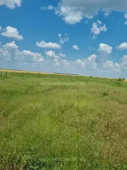 11 Loturi Teren Intravilan | 430 mp / lot | Acces Rapid A2 | Ideal Dezvoltare