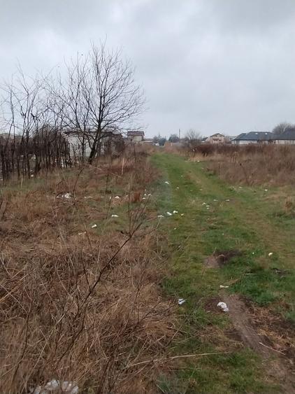 Teren investiție Km 5- Vila Cucoanei