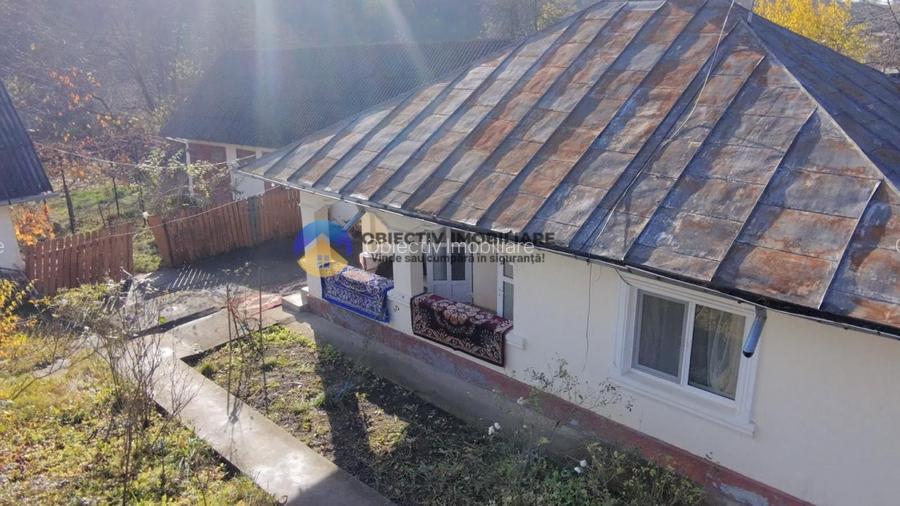 Casă + teren 5062 mp de vânzare – Târgu Neamț - 5