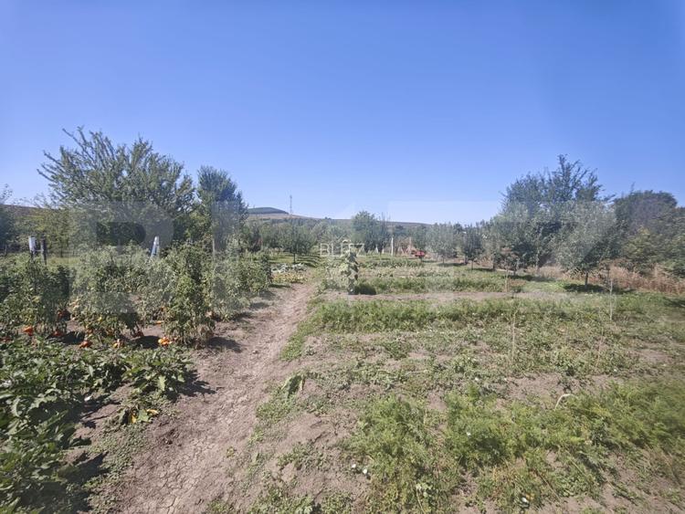 Casa individuala, 140 mp, teren  1.356 mp, la doar 18 km de Bistrita - 14