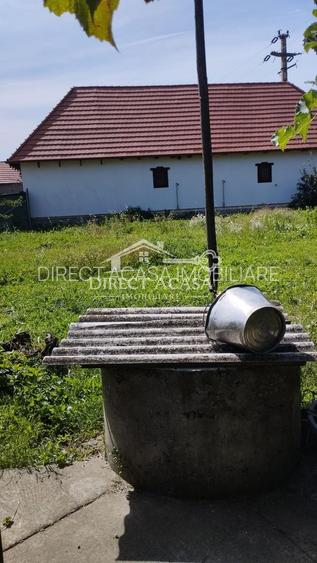 Casă cu teren 21,7 ari în Mitrești – posibilitate achiziție separat - 17