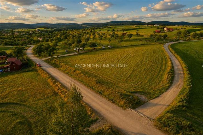 3.800mp recomandat: investitie,rezidenta vacanta,domeniu privat,Valea Crisului - 4