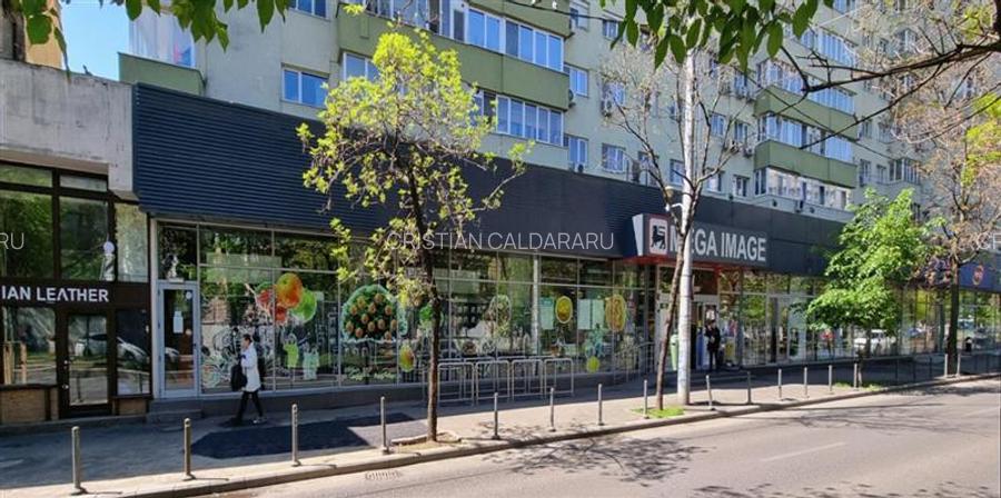 Inchiriere spatiu comercial Titulescu - Banu Manta, Bucuresti - 3