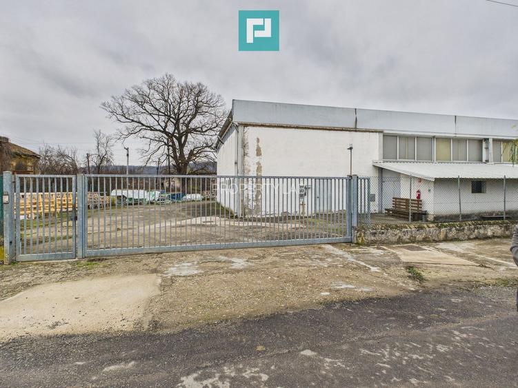 Hală cu teren intravilan de 3500 mp, în Sebiș Arad - 2