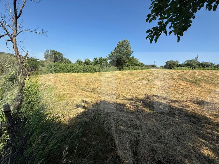 Casă bătrânească cu 2 fronturi stradale, 3095 mp teren, Flămânzi - Botoșani