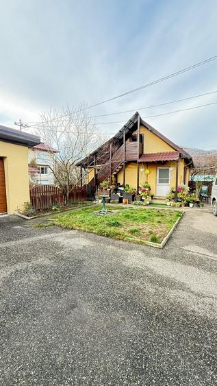🏡 PROPRIETATE DE EXCEPȚIE – ZONĂ ULTRACENTRALĂ, BAIA MARE