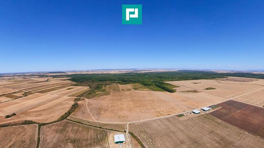 Teren intravilan agricol 558.500 mp Chevereșu Mare