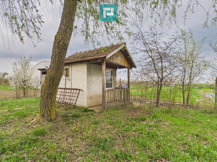 Teren 1 ha cu baltă populată – Alioș (Mașloc) - 7