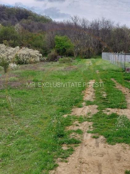Teren Topoloveni - 3670 mp - langa padure, aproape de Centrul orasului - 4
