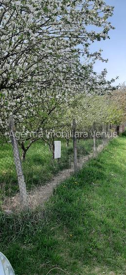 Teren intravilan in Zaicesti zona Conacului cu latura de padure - 3