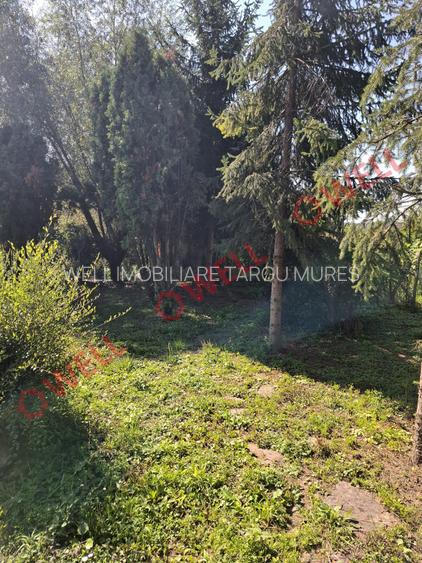 De vânzare casă familială situată în Miercurea Nirajului, zona Sântandrei! - 20