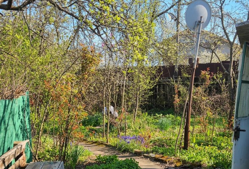 casa teliuc vedere la lac - 8